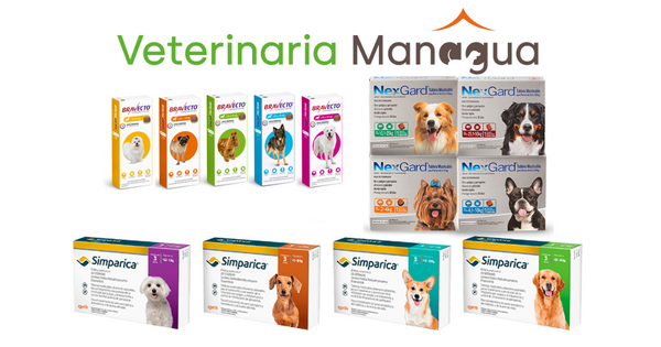 🌟 ¡Descubre la mejor opción para compras de productos veterinarios en Managua, Nicaragua! 🏆