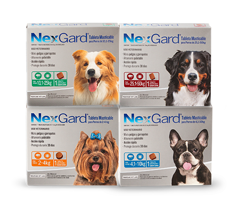 Nexgard: Protección confiable para tu mascota en Veterinaria Managua, Nicaragua 🐶🐾