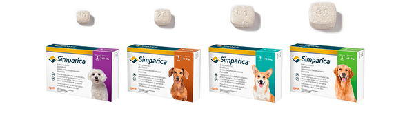 ¡Mejora la salud de tu mascota con Simparica! 🐶🚀 | Veterinaria Managua